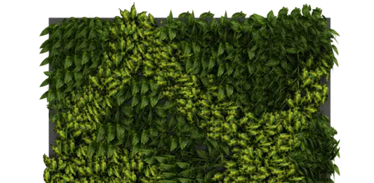 Mur végétal artificiel : mariage de technologie et de la nature pour un design innovant