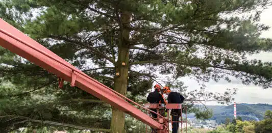 Où trouver une nacelle araignée ?