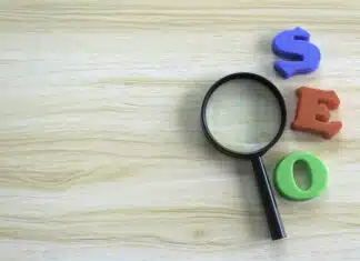 Les rouages complexes d’un audit SEO : Cas d’une entreprise en quête d’optimisation